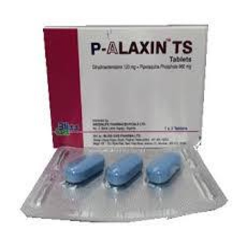 P-ALAXIN TS 960mg
